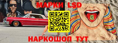 гидропоника Пугачёв