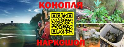 ПСИЛОЦИБИНОВЫЕ ГРИБЫ Пушкино