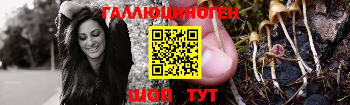 Псилоцибиновые грибы Cubensis  Псилоцибиновые грибы Magic Shrooms  Вход с VPN  наркотики  Новозыбков 
