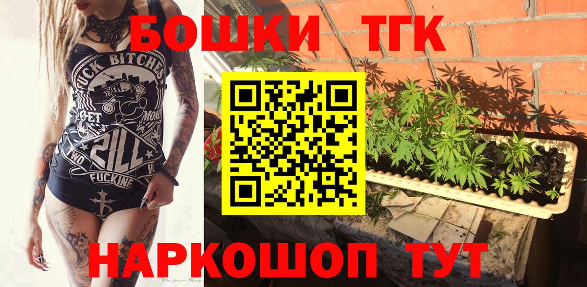 Конопля сатива Новозыбков